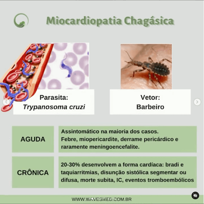 Vetor miocardiopatia chagásica Wavesmed